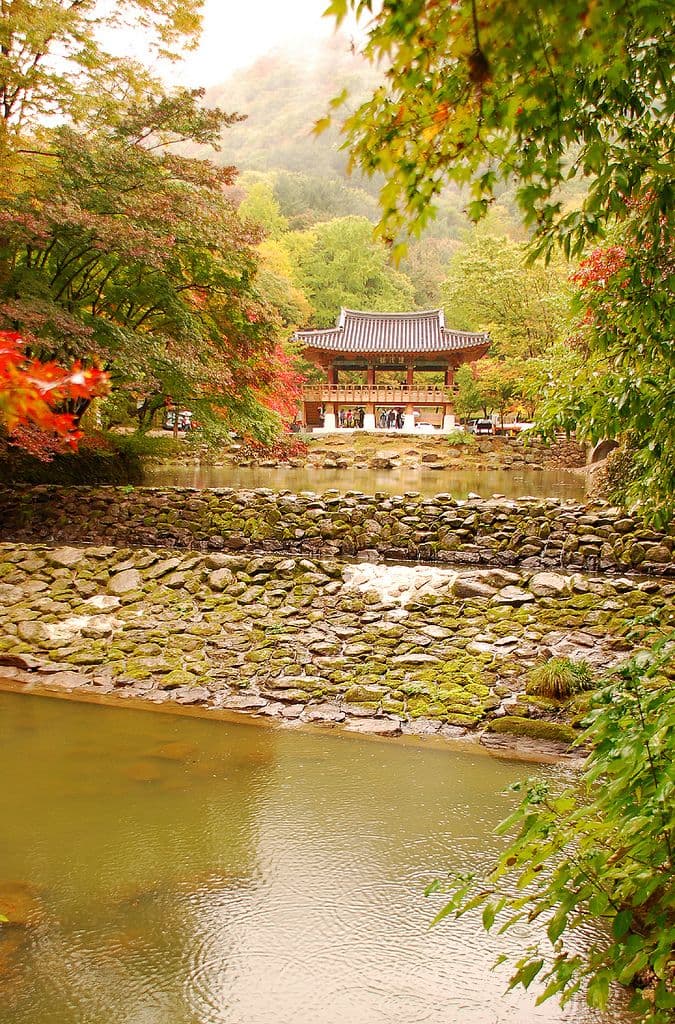 Gwangjang Market: Seoul's Oldest Traditional Market Complete Guide