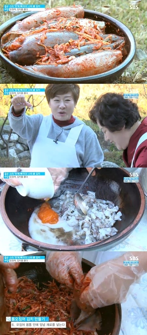 강원도 오징어 김치