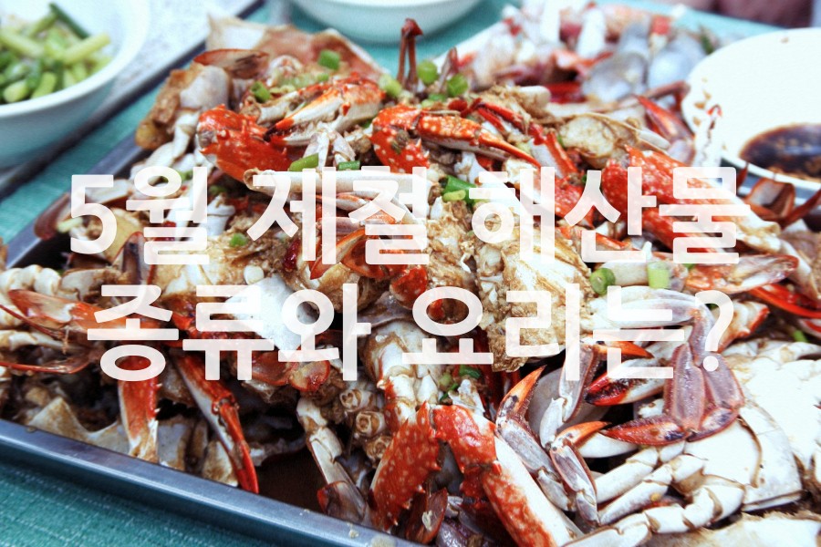 속초 해산물 요리 종류