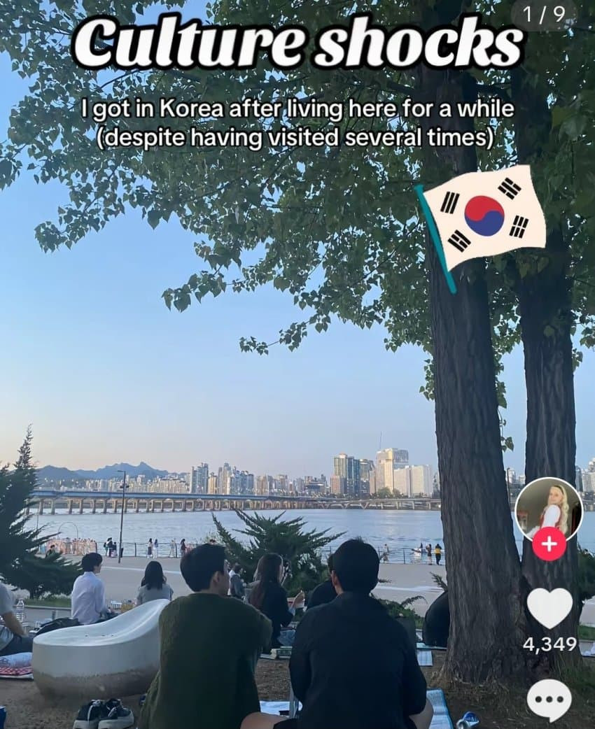 한국 여행 후기 검증