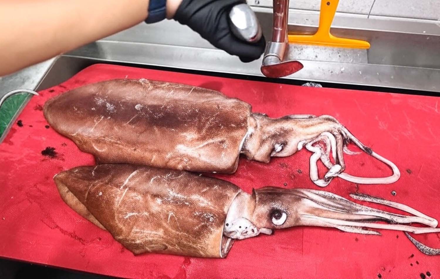 부산 해산물 풍경