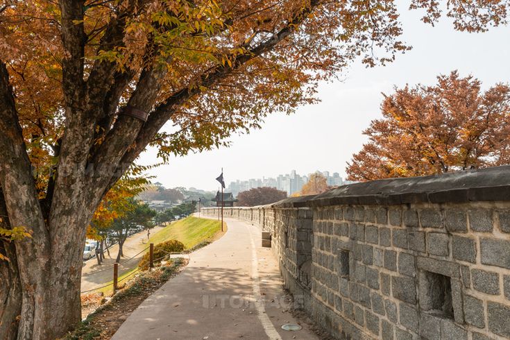 수원 화성 성곽길 풍경