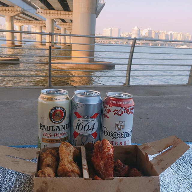 치맥 한강 피크닉