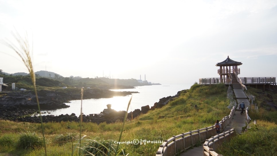 제주도 여행 팁 렌트카