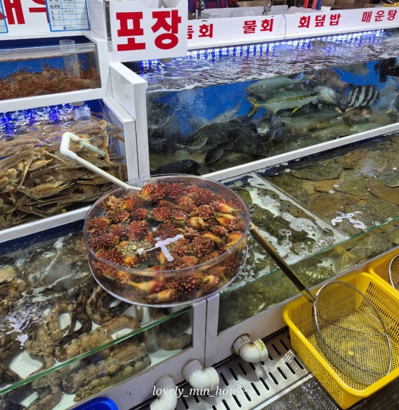 해운대 산호횟집