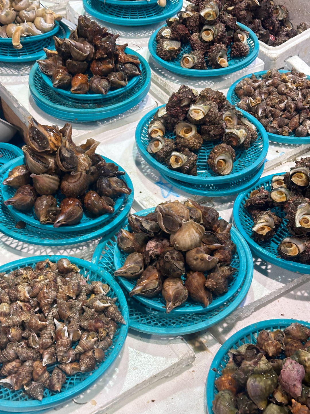 감포항 죽도시장 해산물