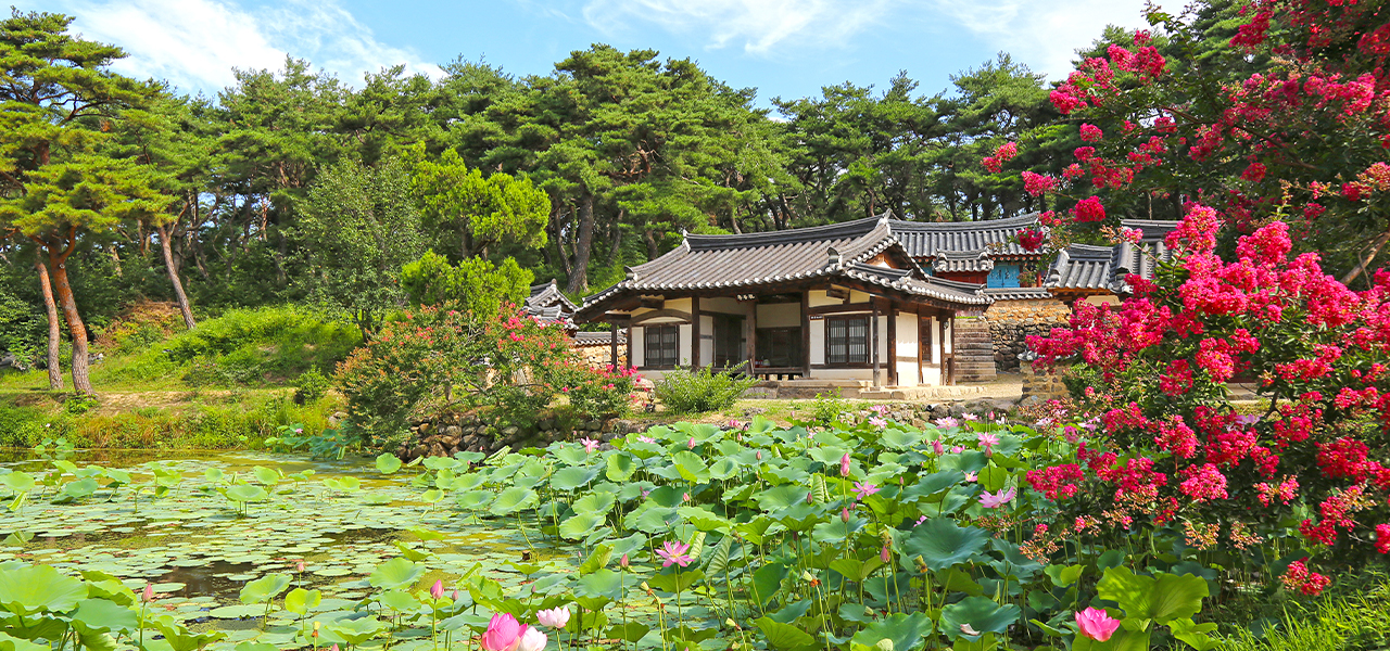 경주 여행 팁