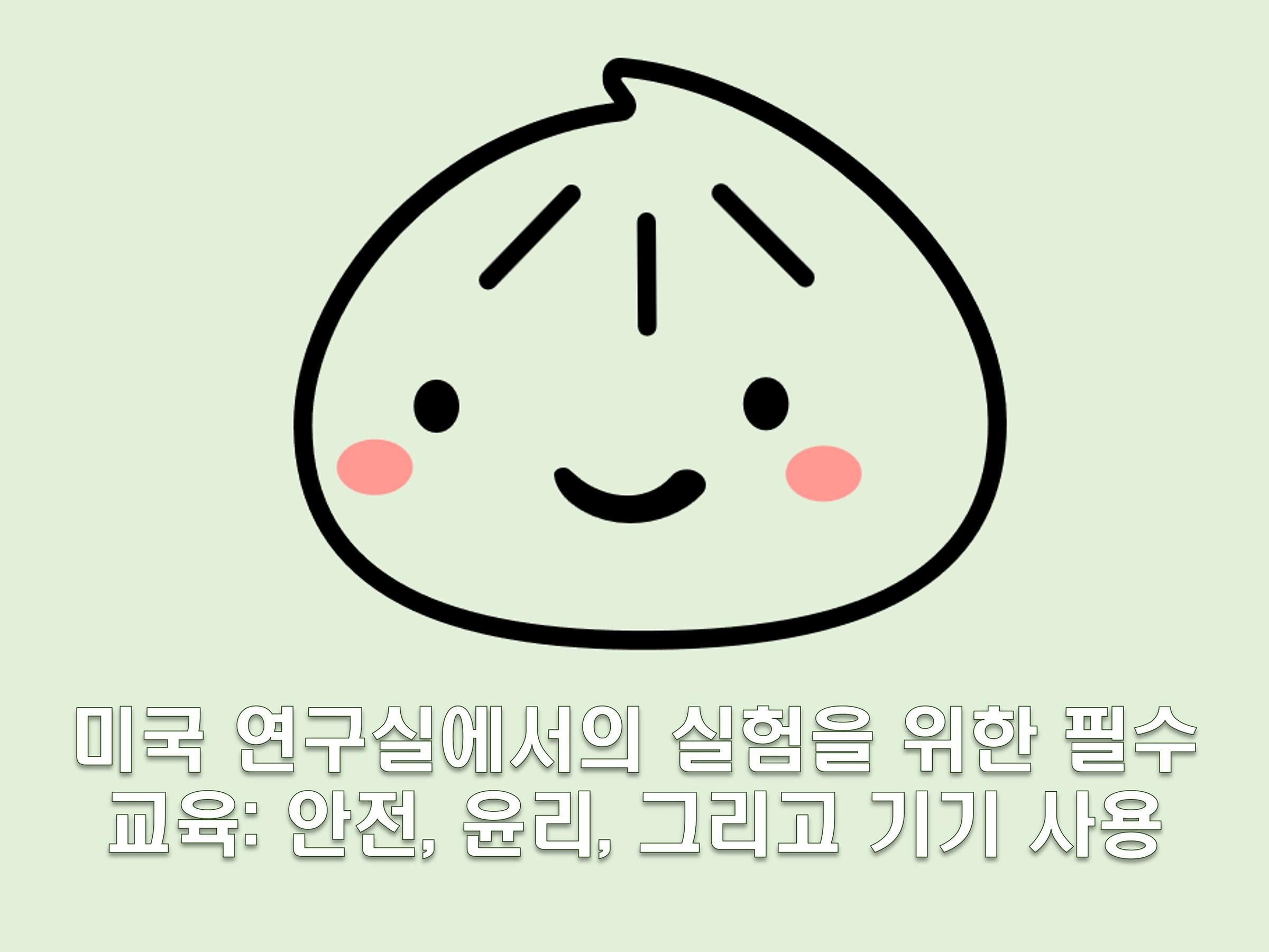 한국 블로그 후기