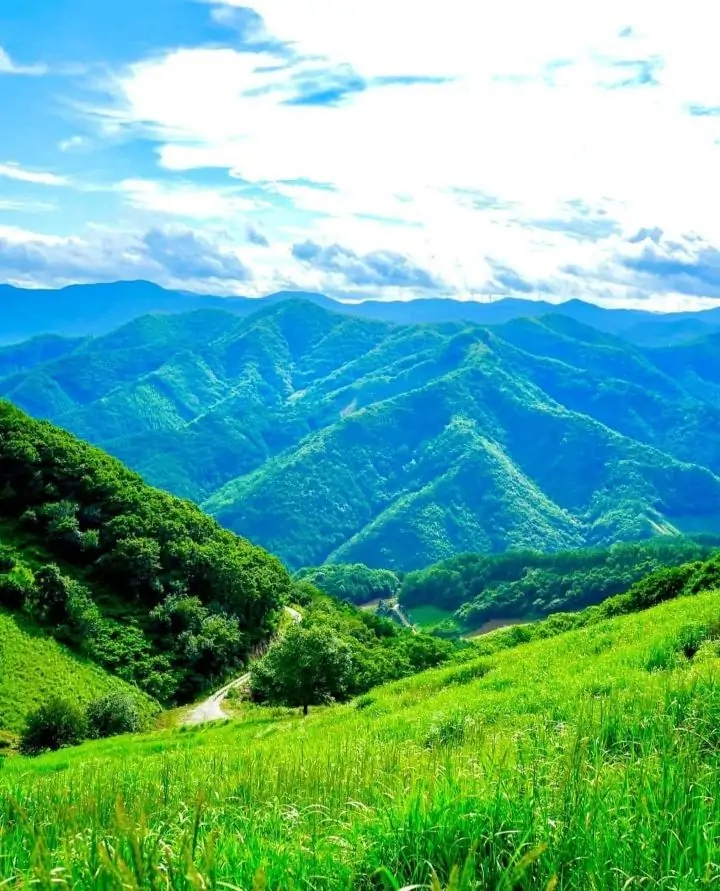 강원도 산 풍경